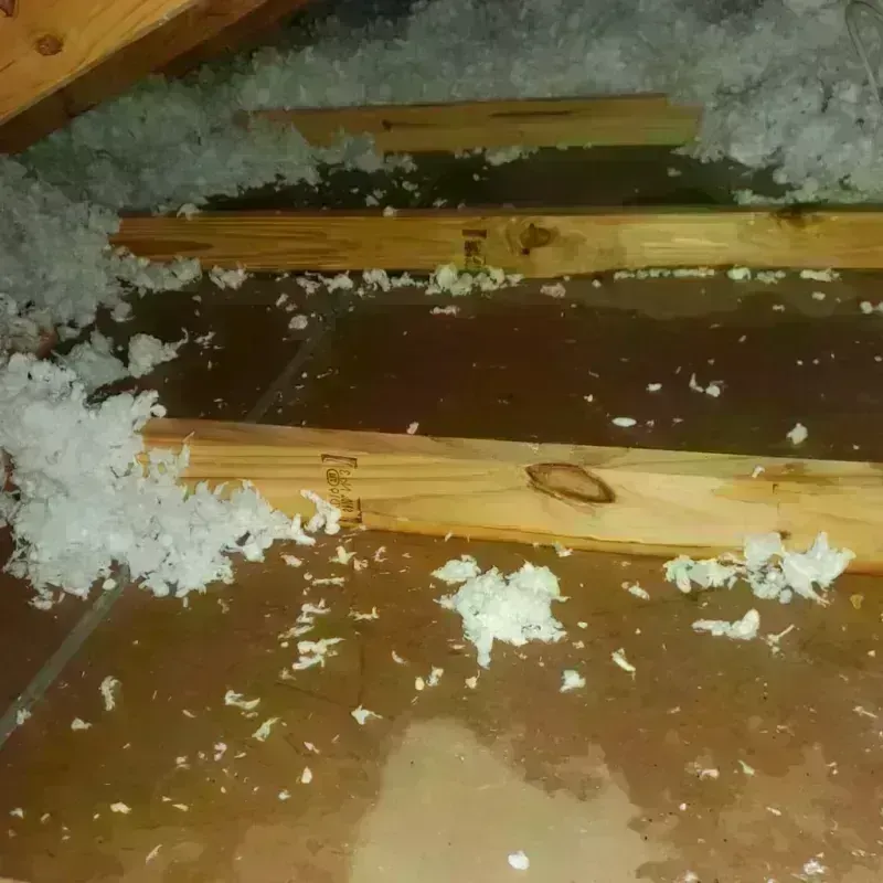 Attic Water Damage in Raubsville, PA